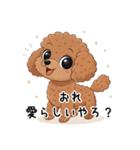 トイプーお気軽メッセージ 1（個別スタンプ：40）