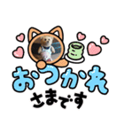 くまたちの日常 その8（個別スタンプ：6）