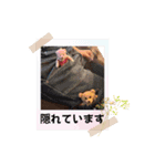 くまたちの日常 その8（個別スタンプ：8）
