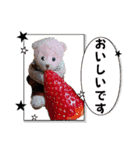 くまたちの日常 その8（個別スタンプ：13）