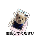 くまたちの日常 その8（個別スタンプ：14）