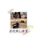 くまたちの日常 その8（個別スタンプ：15）