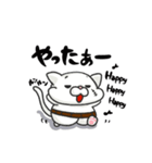 腹巻き猫のもちくんvo.1【腹巻き隊】（個別スタンプ：39）