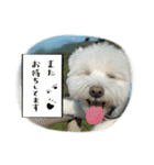 LOVE たる2（個別スタンプ：3）