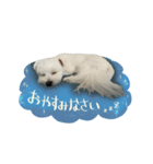 LOVE たる2（個別スタンプ：6）