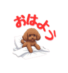 春を感じる＆日常 トイプードル茶（個別スタンプ：1）
