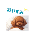 春を感じる＆日常 トイプードル茶（個別スタンプ：11）