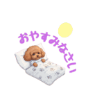 春を感じる＆日常 トイプードル茶（個別スタンプ：12）