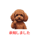 春を感じる＆日常 トイプードル茶（個別スタンプ：19）