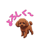 春を感じる＆日常 トイプードル茶（個別スタンプ：21）