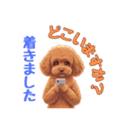 春を感じる＆日常 トイプードル茶（個別スタンプ：25）