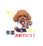 春を感じる＆日常 トイプードル茶（個別スタンプ：31）