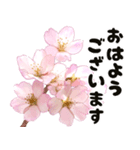 心癒される桜とお祝い言葉/挨拶（個別スタンプ：3）