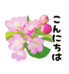 心癒される桜とお祝い言葉/挨拶（個別スタンプ：4）