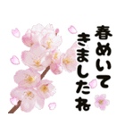 心癒される桜とお祝い言葉/挨拶（個別スタンプ：5）