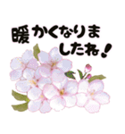 心癒される桜とお祝い言葉/挨拶（個別スタンプ：6）