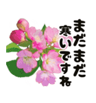 心癒される桜とお祝い言葉/挨拶（個別スタンプ：7）