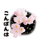 心癒される桜とお祝い言葉/挨拶（個別スタンプ：8）