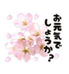 心癒される桜とお祝い言葉/挨拶（個別スタンプ：9）