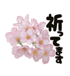心癒される桜とお祝い言葉/挨拶（個別スタンプ：18）