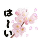 心癒される桜とお祝い言葉/挨拶（個別スタンプ：21）