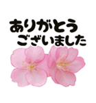 心癒される桜とお祝い言葉/挨拶（個別スタンプ：24）