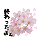 心癒される桜とお祝い言葉/挨拶（個別スタンプ：31）