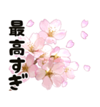 心癒される桜とお祝い言葉/挨拶（個別スタンプ：32）