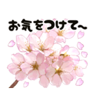 心癒される桜とお祝い言葉/挨拶（個別スタンプ：35）
