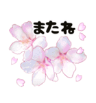 心癒される桜とお祝い言葉/挨拶（個別スタンプ：39）
