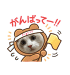 animaru116（個別スタンプ：12）