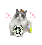 animaru116（個別スタンプ：22）