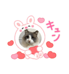 animaru116（個別スタンプ：27）