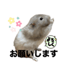 animaru116（個別スタンプ：36）