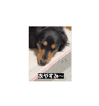 6kgのくるみ（個別スタンプ：6）
