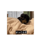 6kgのくるみ（個別スタンプ：10）