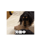 6kgのくるみ（個別スタンプ：14）