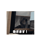 6kgのくるみ（個別スタンプ：15）