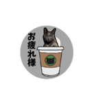 ひょっこりミントさんの【日常】❶（個別スタンプ：3）