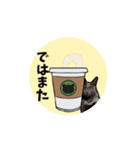 ひょっこりミントさんの【日常】❶（個別スタンプ：4）