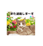 動く猫スタンプ♡日常♡敬語♡変身♡面白（個別スタンプ：8）