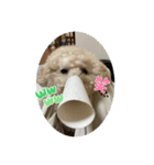 ゆめゆめ きき スタンプ（個別スタンプ：8）