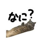 つくね？（個別スタンプ：4）