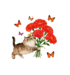 母の日に花を贈るねこ♡感謝カーネーション（個別スタンプ：3）