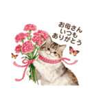 母の日に花を贈るねこ♡感謝カーネーション（個別スタンプ：5）