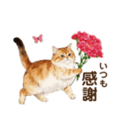 母の日に花を贈るねこ♡感謝カーネーション（個別スタンプ：6）