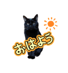 黒猫の福ちゃんです（個別スタンプ：5）