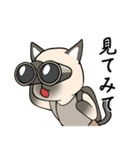 シャム猫の恋人（個別スタンプ：1）