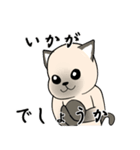 シャム猫の恋人（個別スタンプ：4）