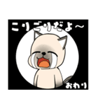 シャム猫の恋人（個別スタンプ：6）